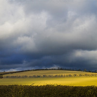 Buy canvas prints of Fields and stormy weather by David French