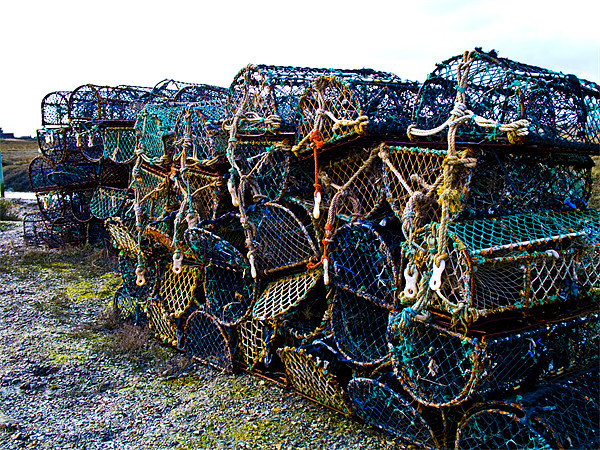 Lobster pots Picture Board by David French