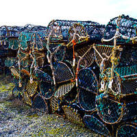 Buy canvas prints of Lobster pots by David French