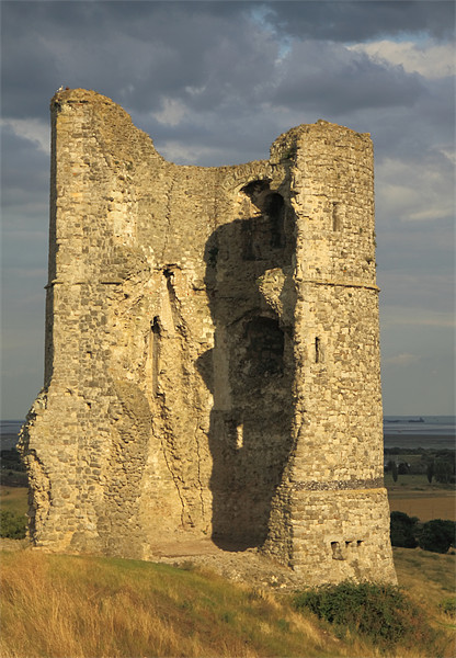 Hadleigh Castle Picture Board by David French