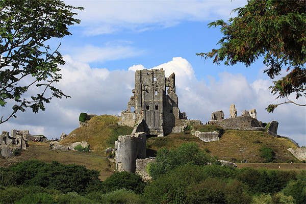 Corfe Castle and Corfe Dorset Picture Board by David French
