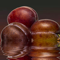 Buy canvas prints of Victoria Plums by David French