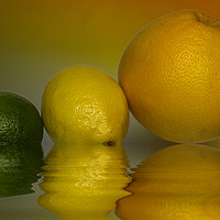 Buy canvas prints of Grapefruit Lemon and Lime Citrus Fruit by David French