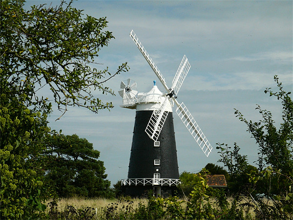 Burnham Windmill Picture Board by David French