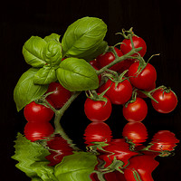 Buy canvas prints of Cherry Tomatoes and Basil by David French