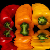 Buy canvas prints of Peppers Red Yellow Orange by David French