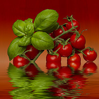 Buy canvas prints of Plum Cherry Tomatoes Basil by David French