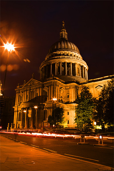 St Pauls Cathedral  at night Picture Board by David French