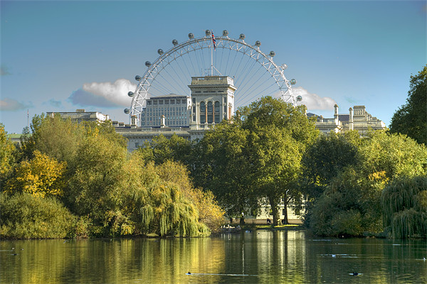 London Eye from St James Park Picture Board by David French