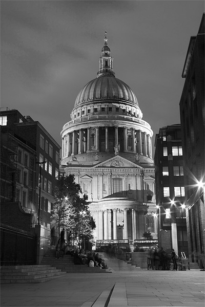 St Pauls Cathedral at London Attractions BW Picture Board by David French