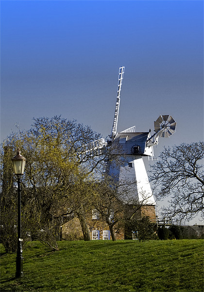 Windmill Baker Street  Orsett Thurrock Essex Picture Board by David French