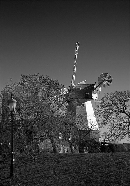 Windmill Baker Street  Orsett Thurrock Essex BW Picture Board by David French