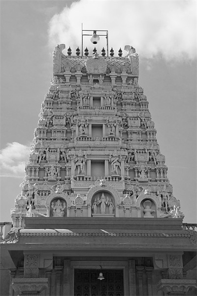 London Sri Murugan Temple bw Picture Board by David French
