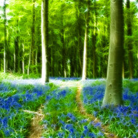 Buy canvas prints of Bluebells at Westwoods Fractals by David French
