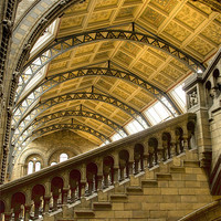 Buy canvas prints of Natural History Museum Kensington fractals by David French