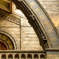 Buy canvas prints of Natural History Museum Kensington by David French