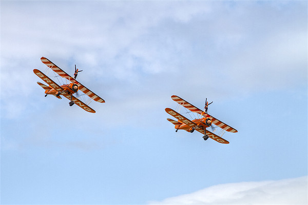 Wingwalkers Picture Board by David French
