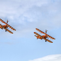 Buy canvas prints of Wingwalkers by David French