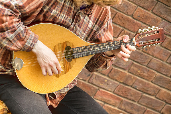 Street Busker mandolin appeal Picture Board by David French