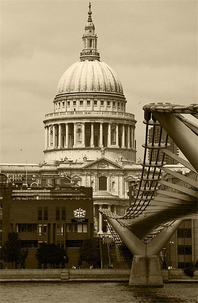 St Pauls Cathedral London Picture Board by David French