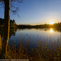 Buy canvas prints of Lake sunset Sherwood Forest  by Julie Tattersfield