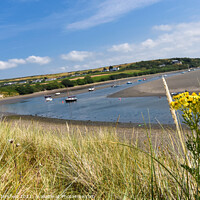 Buy canvas prints of Yellow coastal flowers framing the River Nevern by Julie Tattersfield