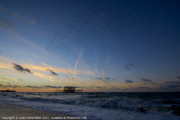 Starling murmation at Brighton pier Picture Board by Julie Tattersfield