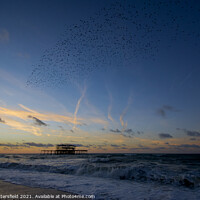 Buy canvas prints of Starling murmation at Brighton pier by Julie Tattersfield