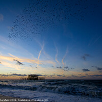 Buy canvas prints of Starling murmation in the sunrise by Julie Tattersfield