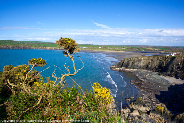 Pembrokeshire beautiful coast Picture Board by Julie Tattersfield
