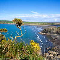 Buy canvas prints of Pembrokeshire beautiful coast by Julie Tattersfield