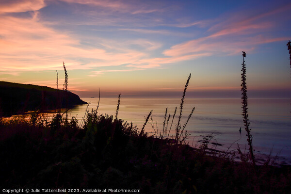 Pembrokeshire coast path sunset Picture Board by Julie Tattersfield