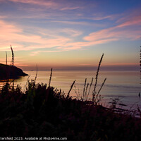 Buy canvas prints of Pembrokeshire coast path sunset by Julie Tattersfield