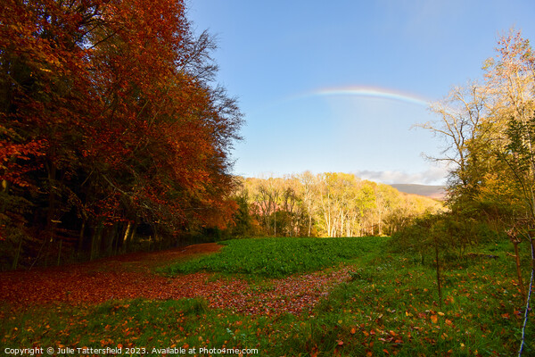 Autumn rainbow Picture Board by Julie Tattersfield