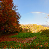 Buy canvas prints of Autumn rainbow by Julie Tattersfield