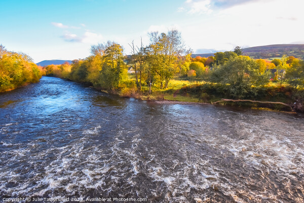 River Usk from the bridge Picture Board by Julie Tattersfield