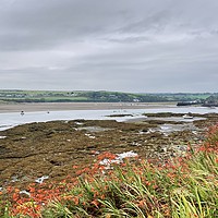 Buy canvas prints of Coast path flowers with a beach view by Julie Tattersfield