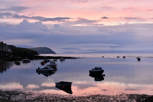 Pink evening sunset  Pembrokeshire Picture Board by Julie Tattersfield