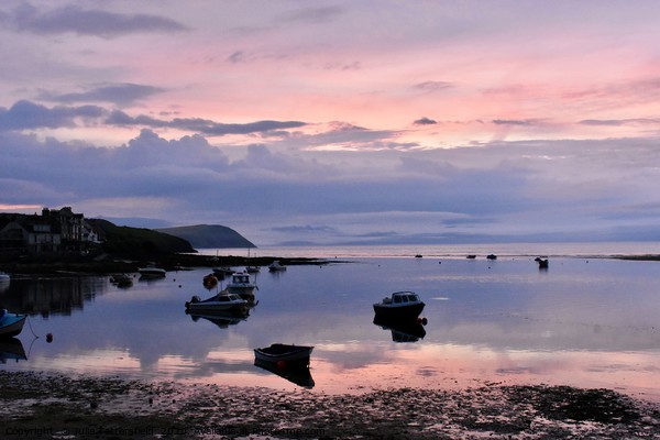 Evening sunset at The Parrog Newport Pembrokeshire Picture Board by Julie Tattersfield