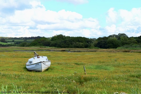Snowgoose rowing boat at the Parrog, Pembrokeshire Picture Board by Julie Tattersfield
