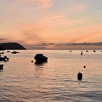 Buy canvas prints of Pink sunset at the Parrog, Newport Pembrokeshire  by Julie Tattersfield