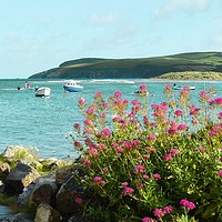 Buy canvas prints of The best seat in Pembrokeshire  by Julie Tattersfield