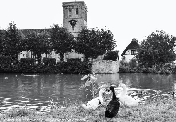 St. Marys church Haddenham duck pond Picture Board by Julie Tattersfield