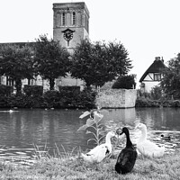 Buy canvas prints of St. Marys church Haddenham duck pond by Julie Tattersfield