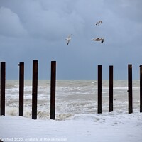 Buy canvas prints of Brighton West pier pillars by Julie Tattersfield