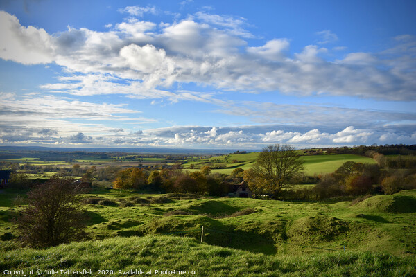 Oxfordshire Brill landscape as far as the eye can  Picture Board by Julie Tattersfield