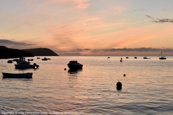 Pink sunset at the Parrog,  Pembrokeshire  Picture Board by Julie Tattersfield