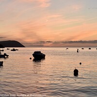 Buy canvas prints of Pink sunset at the Parrog,  Pembrokeshire  by Julie Tattersfield