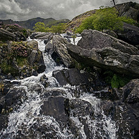 Buy canvas prints of Lone Tree, Ogwen Valley by Malcolm Lander