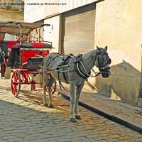 Buy canvas prints of Horse and Carriage, Havana Cuba by Laurence Tobin